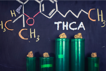 What is THCA - Brockton, Massachusetts