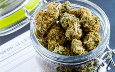 Selecting the Best Medical Marijuana Flower for Your Medical Treatment