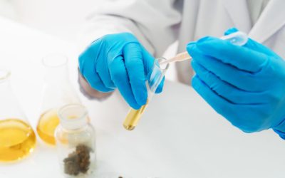 What is THCP?