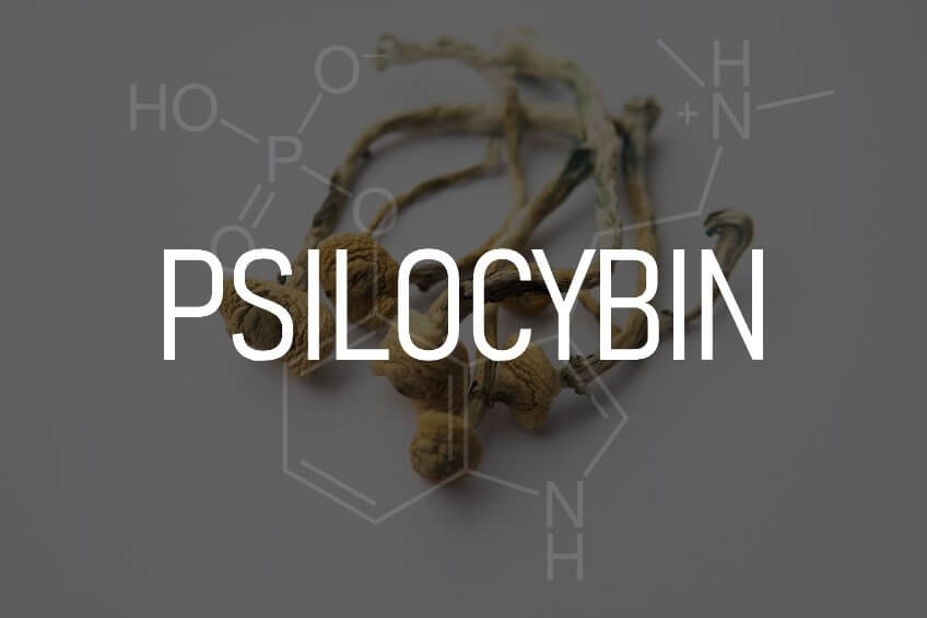 Cannabis and Psilocybin working together