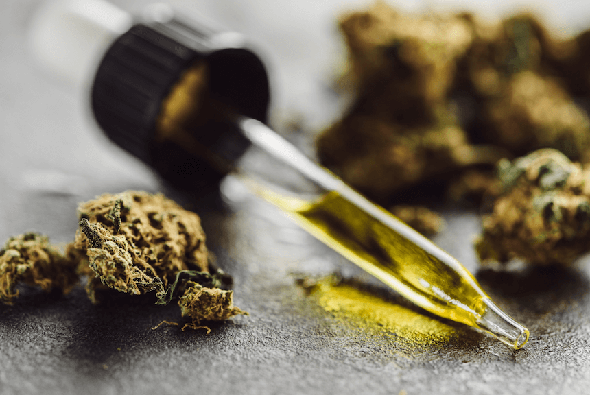 Cannabis Concentrates: Everything You Need to Know!