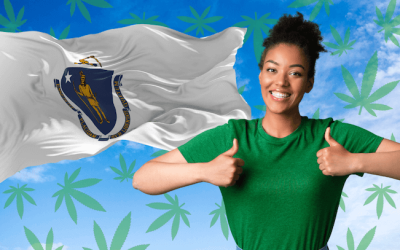 Top 10 Popular Strains of Cannabis in Massachusetts