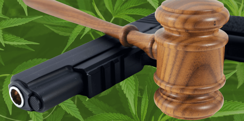 Will Laws About Gun Ownership and Cannabis Change Soon?