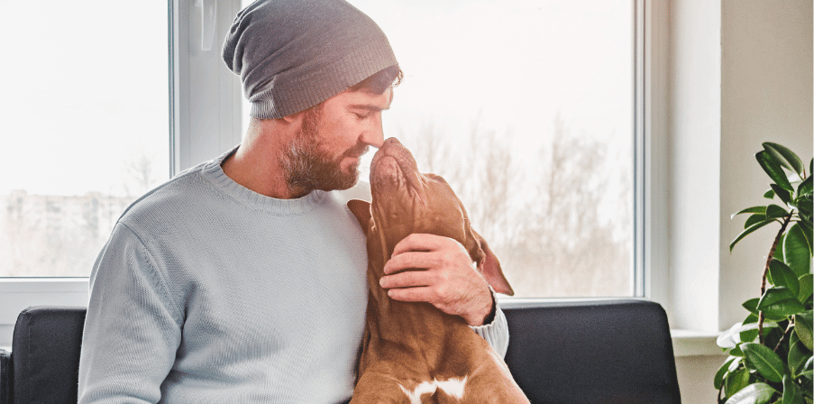 A Joint Effort: Keeping Your Pets Safe From Cannabis