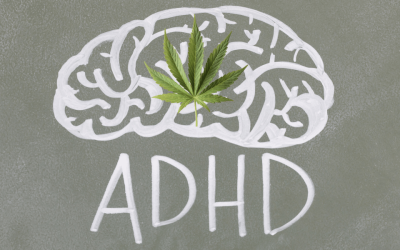 Risks vs. Benefits: Evaluating Medical Cannabis for ADHD Patients