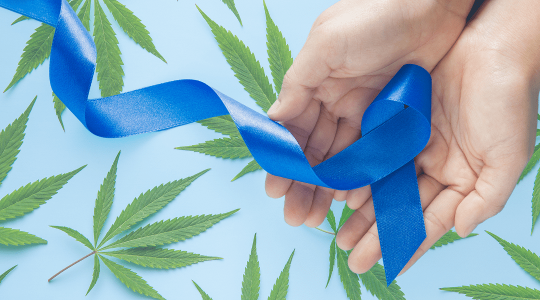 The Role of Cannabis in Managing Colon Cancer Symptoms