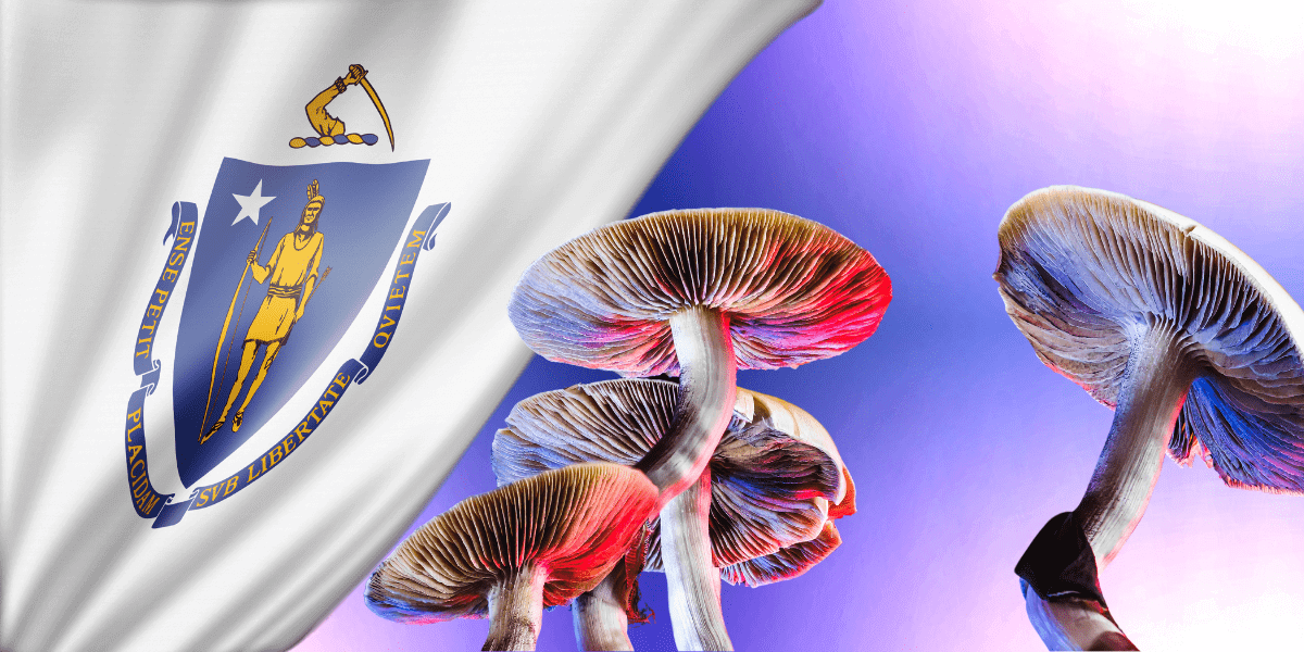 Will Massachusetts Follow in Oregon's Footsteps and Legalize Psilocybin