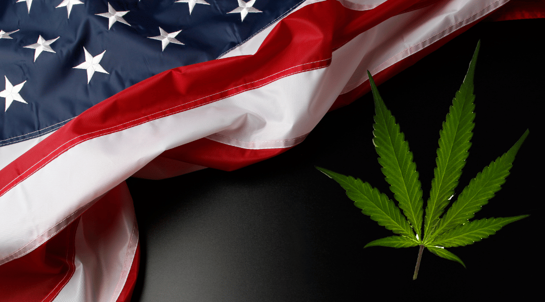 Breaking News: Cannabis Rescheduled to Schedule III By Federal Law