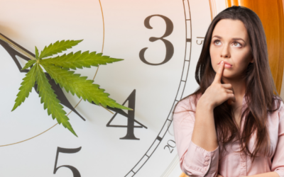 From Code Word to Cultural Phenomenon: The Meaning of 420