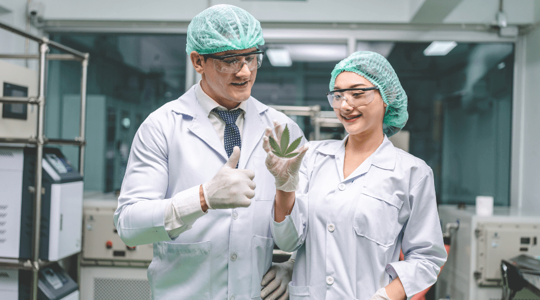 Groundbreaking New Report on Medical Cannabis from Tilray