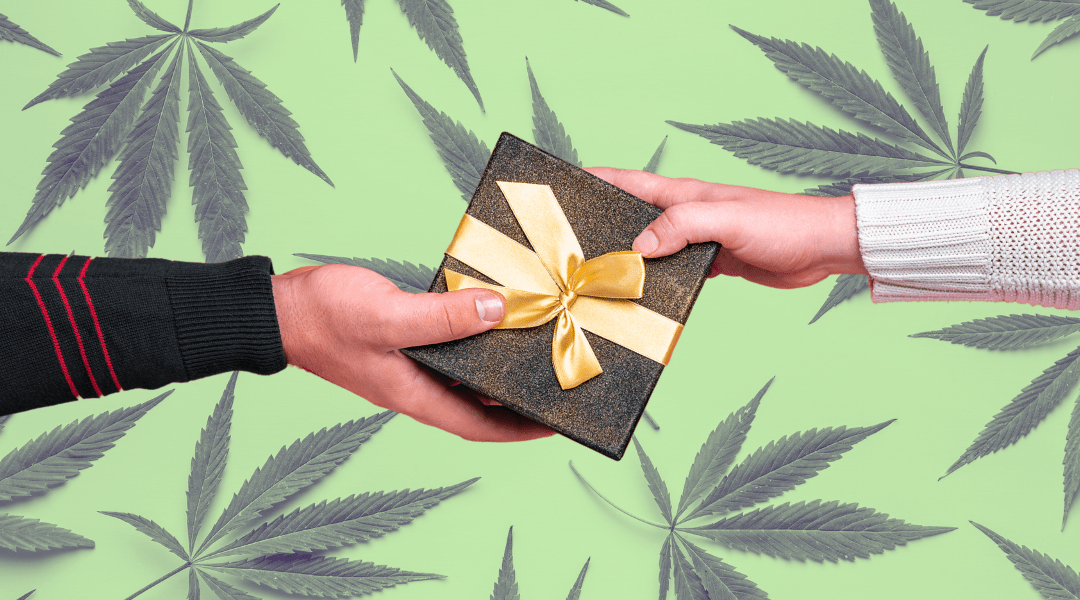 Can You Give Cannabis As A Gift In Massachusetts?