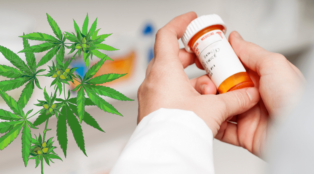 Is It Safe to Use Medical Marijuana with Amoxicillin?