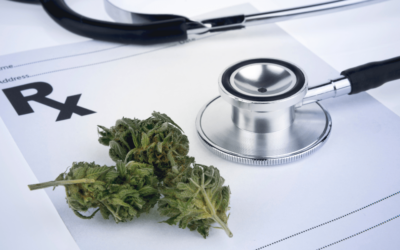 Medical Cannabis and You in 2025: Tips to Maximize Your Health